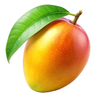 Fresh Mango