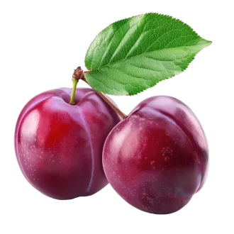 Fresh & Organic Red  Plum